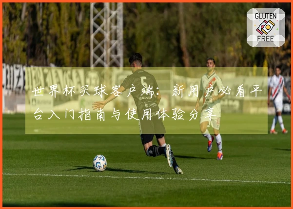 世界杯买球客户端：新用户必看平台入门指南与使用体验分享
