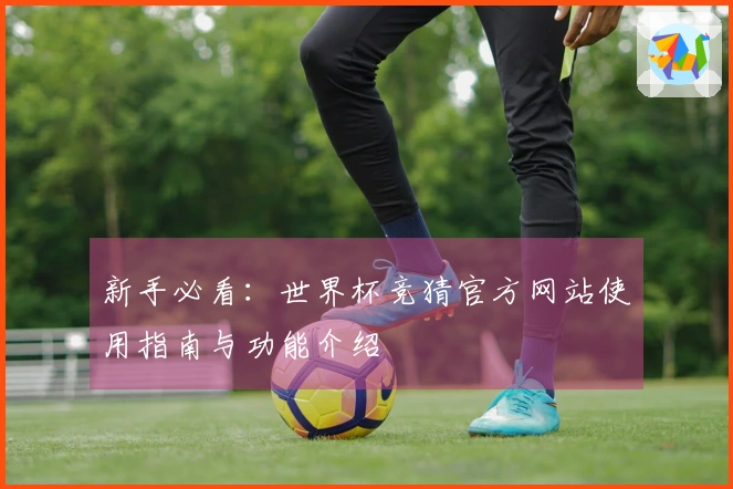 新手必看：世界杯竞猜官方网站使用指南与功能介绍