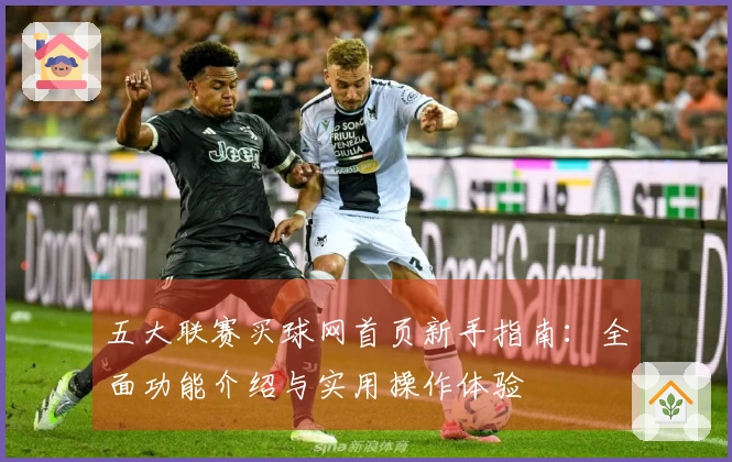 五大联赛买球网首页新手指南：全面功能介绍与实用操作体验