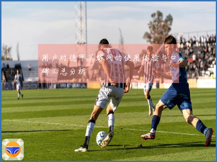 用户对德甲买球网的使用体验与口碑汇总分析