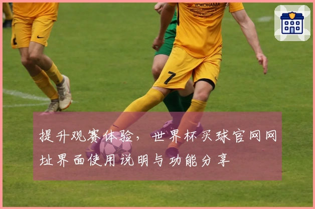 提升观赛体验，世界杯买球官网网址界面使用说明与功能分享