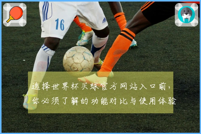 选择世界杯买球官方网站入口前，你必须了解的功能对比与使用体验
