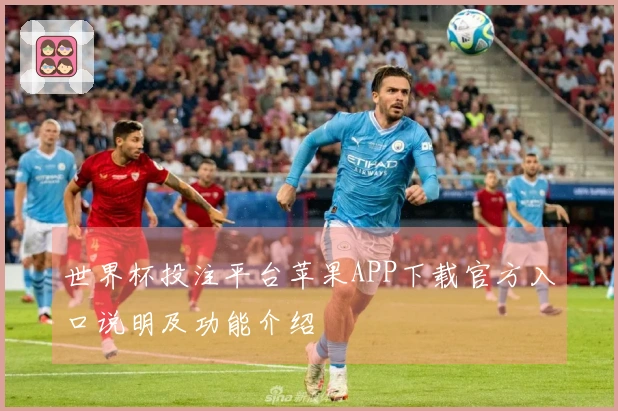 世界杯投注平台苹果APP下载官方入口说明及功能介绍