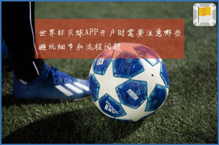 世界杯买球APP开户时需要注意哪些避坑细节和流程问题