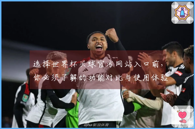 选择世界杯买球官方网站入口前，你必须了解的功能对比与使用体验