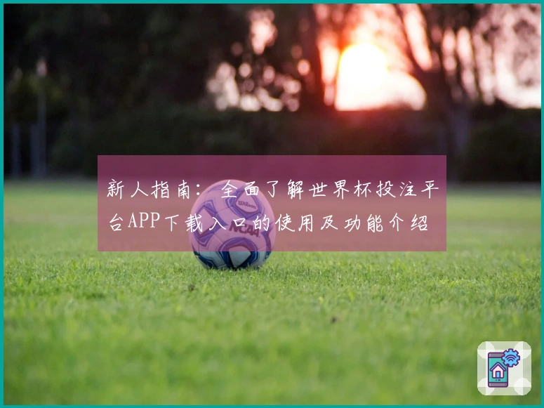 新人指南：全面了解世界杯投注平台APP下载入口的使用及功能介绍