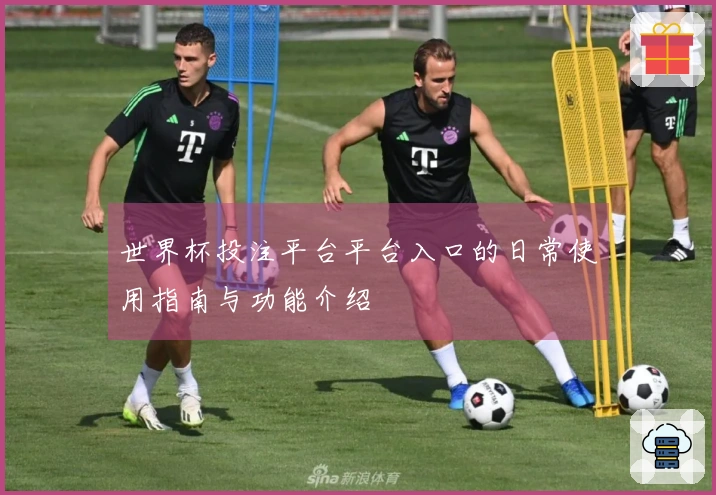 世界杯投注平台平台入口的日常使用指南与功能介绍