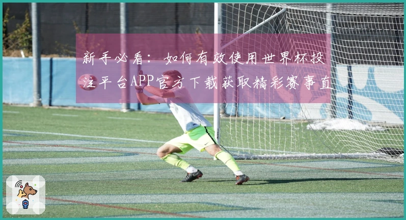 新手必看：如何有效使用世界杯投注平台APP官方下载获取精彩赛事直播