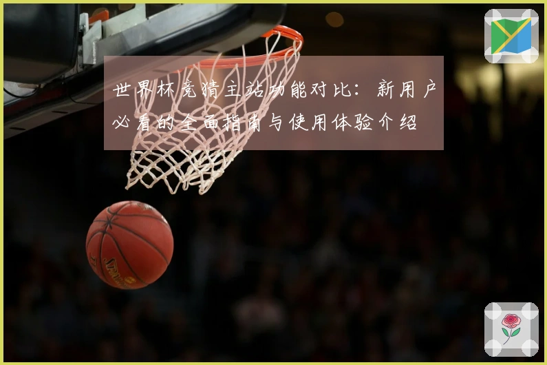 世界杯竞猜主站功能对比：新用户必看的全面指南与使用体验介绍