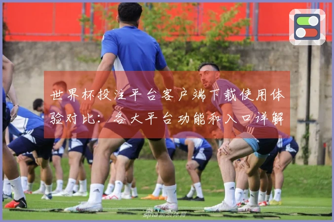世界杯投注平台客户端下载使用体验对比：各大平台功能和入口详解