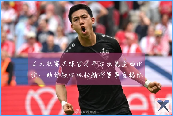 五大联赛买球官方平台功能全面比拼，助你轻松玩转精彩赛事直播体验